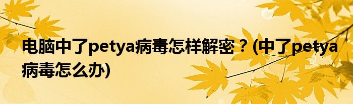 電腦中了petya病毒怎樣解密？(中了petya病毒怎么辦)