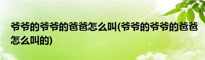 爺爺?shù)臓敔數(shù)陌职衷趺唇?爺爺?shù)臓敔數(shù)陌职衷趺唇械?