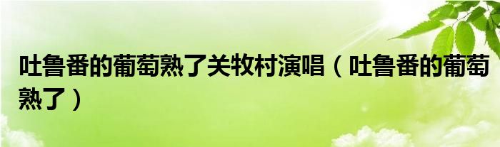 吐魯番的葡萄熟了關(guān)牧村演唱（吐魯番的葡萄熟了）