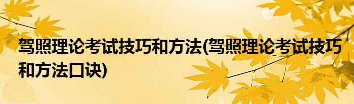 駕照理論考試技巧和方法(駕照理論考試技巧和方法口訣)