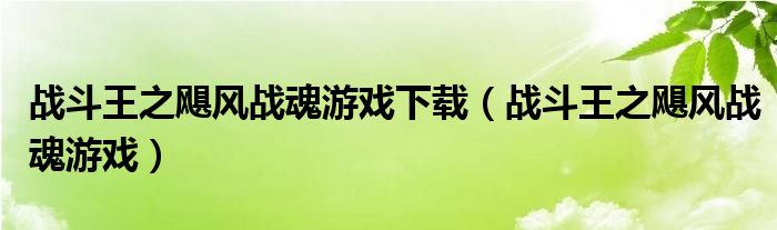 戰(zhàn)斗王之颶風戰(zhàn)魂游戲下載（戰(zhàn)斗王之颶風戰(zhàn)魂游戲）