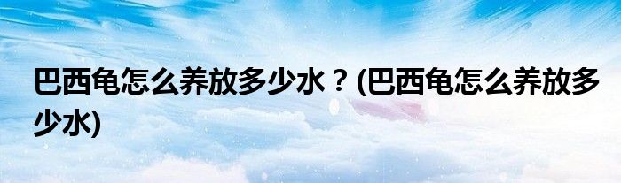 巴西龜怎么養(yǎng)放多少水？(巴西龜怎么養(yǎng)放多少水)