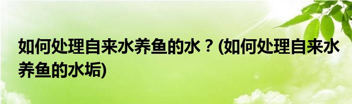 如何處理自來水養(yǎng)魚的水？(如何處理自來水養(yǎng)魚的水垢)