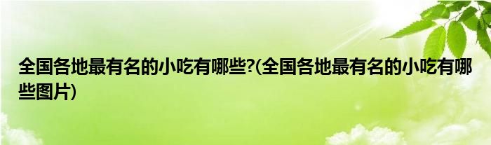 全國(guó)各地最有名的小吃有哪些?(全國(guó)各地最有名的小吃有哪些圖片)