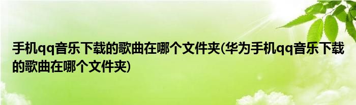 手機qq音樂下載的歌曲在哪個文件夾(華為手機qq音樂下載的歌曲在哪個文件夾)