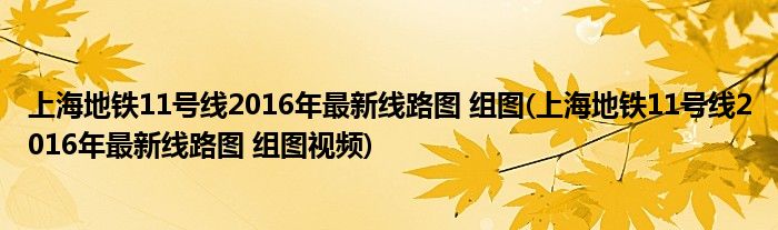 上海地鐵11號線2016年最新線路圖 組圖(上海地鐵11號線2016年最新線路圖 組圖視頻)