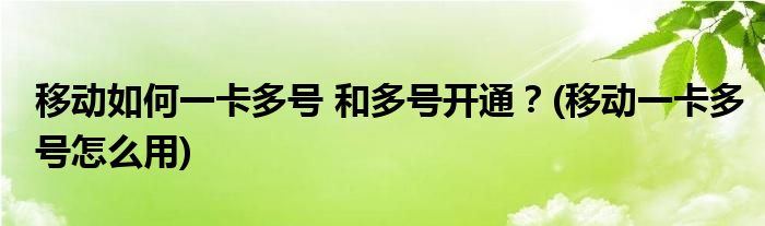 移動如何一卡多號 和多號開通？(移動一卡多號怎么用)