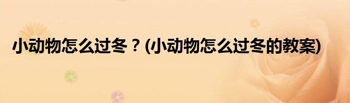 小動物怎么過冬？(小動物怎么過冬的教案)