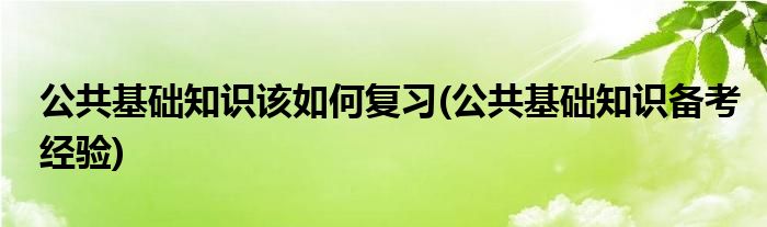 公共基礎知識該如何復習(公共基礎知識備考經驗)