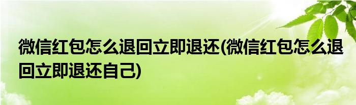 微信紅包怎么退回立即退還(微信紅包怎么退回立即退還自己)