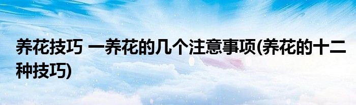 養(yǎng)花技巧 一養(yǎng)花的幾個注意事項(養(yǎng)花的十二種技巧)