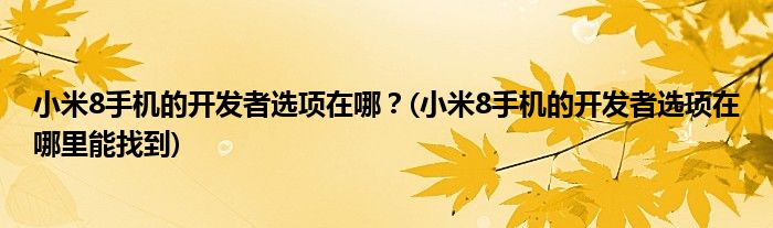 小米8手機(jī)的開發(fā)者選項(xiàng)在哪？(小米8手機(jī)的開發(fā)者選項(xiàng)在哪里能找到)