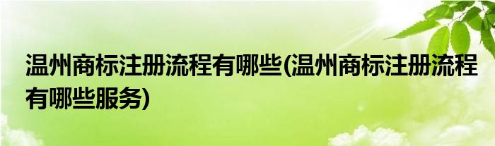 溫州商標(biāo)注冊流程有哪些(溫州商標(biāo)注冊流程有哪些服務(wù))