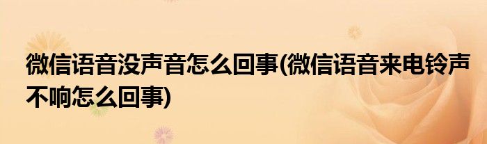 微信語音沒聲音怎么回事(微信語音來電鈴聲不響怎么回事)