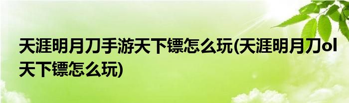 天涯明月刀手游天下鏢怎么玩(天涯明月刀ol天下鏢怎么玩)