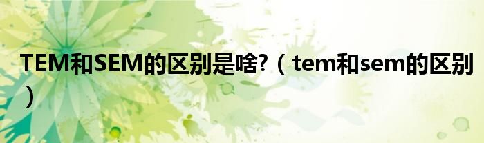 TEM和SEM的區(qū)別是啥?（tem和sem的區(qū)別）