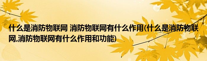 什么是消防物聯(lián)網(wǎng) 消防物聯(lián)網(wǎng)有什么作用(什么是消防物聯(lián)網(wǎng),消防物聯(lián)網(wǎng)有什么作用和功能)