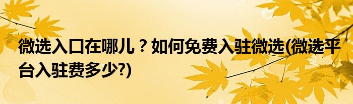 微選入口在哪兒？如何免費入駐微選(微選平臺入駐費多少?)