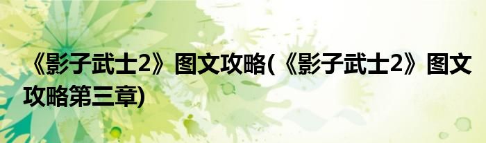 《影子武士2》圖文攻略(《影子武士2》圖文攻略第三章)