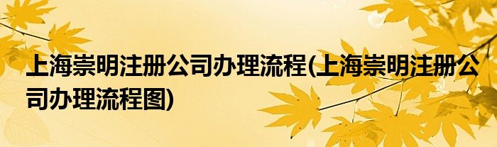 上海崇明注冊(cè)公司辦理流程(上海崇明注冊(cè)公司辦理流程圖)