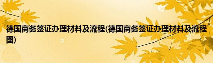 德國商務簽證辦理材料及流程(德國商務簽證辦理材料及流程圖)