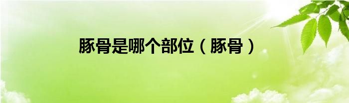 豚骨是哪個(gè)部位（豚骨）