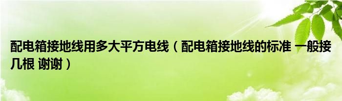 配電箱接地線用多大平方電線（配電箱接地線的標(biāo)準(zhǔn) 一般接幾根 謝謝）