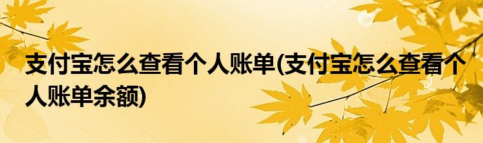 支付寶怎么查看個(gè)人賬單(支付寶怎么查看個(gè)人賬單余額)