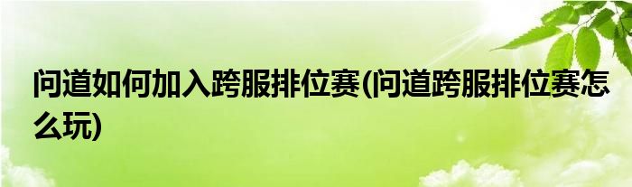 問道如何加入跨服排位賽(問道跨服排位賽怎么玩)