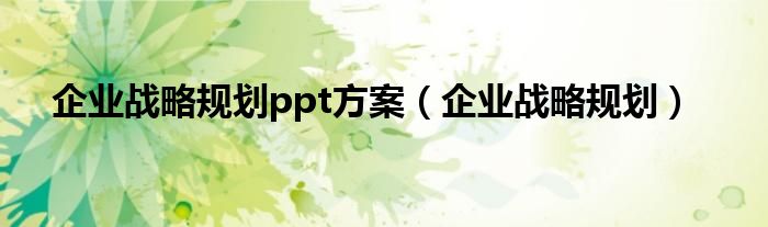 企業(yè)戰(zhàn)略規(guī)劃ppt方案（企業(yè)戰(zhàn)略規(guī)劃）