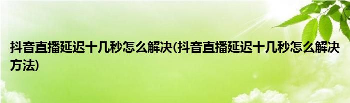 抖音直播延遲十幾秒怎么解決(抖音直播延遲十幾秒怎么解決方法)