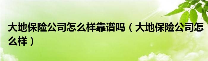 大地保險公司怎么樣靠譜嗎（大地保險公司怎么樣）