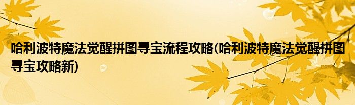 哈利波特魔法覺醒拼圖尋寶流程攻略(哈利波特魔法覺醒拼圖尋寶攻略新)