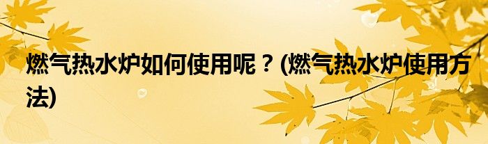 燃?xì)鉄崴疇t如何使用呢？(燃?xì)鉄崴疇t使用方法)