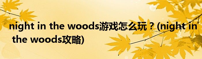 night in the woods游戲怎么玩？(night in the woods攻略)