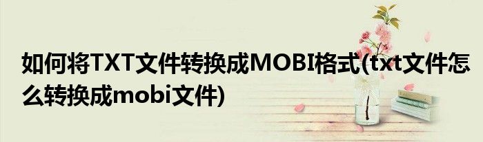 如何將TXT文件轉(zhuǎn)換成MOBI格式(txt文件怎么轉(zhuǎn)換成mobi文件)