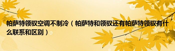 帕薩特領(lǐng)馭空調(diào)不制冷（帕薩特和領(lǐng)馭還有帕薩特領(lǐng)馭有什么聯(lián)系和區(qū)別）