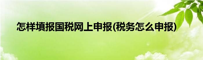 怎樣填報(bào)國(guó)稅網(wǎng)上申報(bào)(稅務(wù)怎么申報(bào))