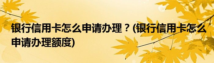 銀行信用卡怎么申請(qǐng)辦理？(銀行信用卡怎么申請(qǐng)辦理額度)