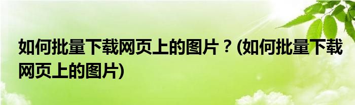 如何批量下載網頁上的圖片？(如何批量下載網頁上的圖片)