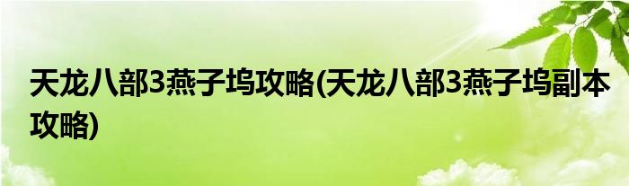 天龍八部3燕子塢攻略(天龍八部3燕子塢副本攻略)