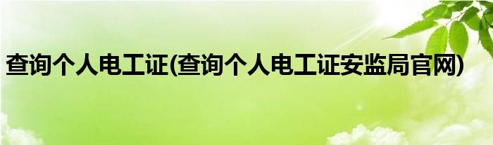 查詢個人電工證(查詢個人電工證安監(jiān)局官網)