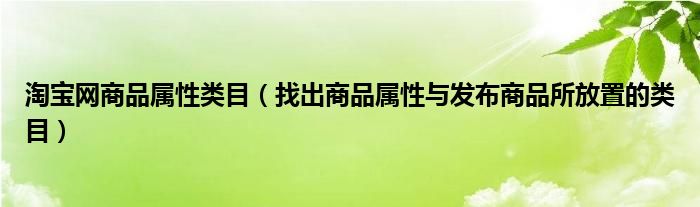 淘寶網(wǎng)商品屬性類目（找出商品屬性與發(fā)布商品所放置的類目）