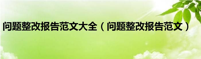 問題整改報告范文大全（問題整改報告范文）