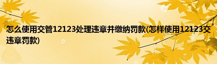 怎么使用交管12123處理違章并繳納罰款(怎樣使用12123交違章罰款)