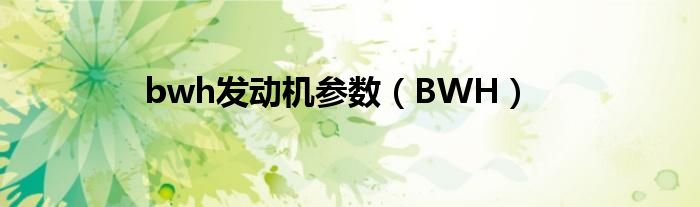 bwh發(fā)動機(jī)參數(shù)（BWH）