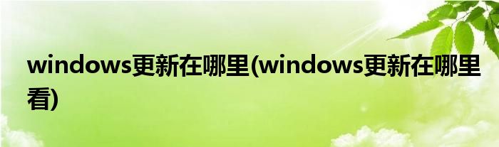 windows更新在哪里(windows更新在哪里看)