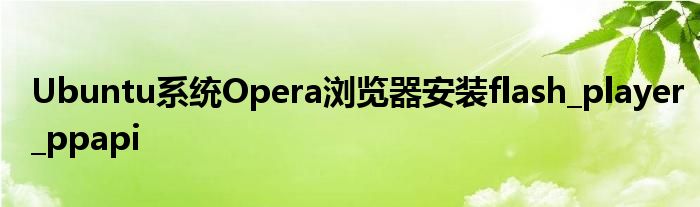 Ubuntu系統(tǒng)Opera瀏覽器安裝flash_player_ppapi