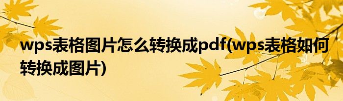 wps表格圖片怎么轉換成pdf(wps表格如何轉換成圖片)