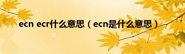 ecn ecr什么意思（ecn是什么意思）